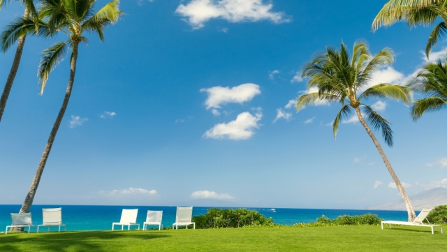 开元官网封丘乒乓球台处理结果公示