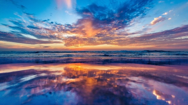 室内有氧健身运动男士