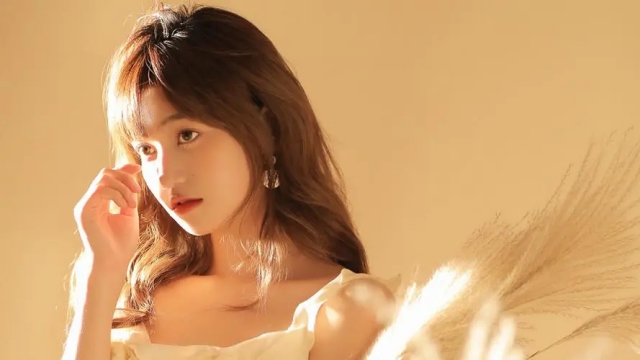 开元集团回兴乒乓球台