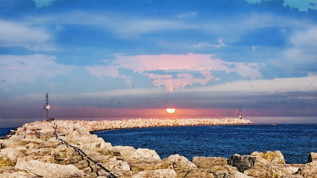 开元体育乒乓球台售后都有什么服务